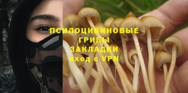 ешки Михайловск