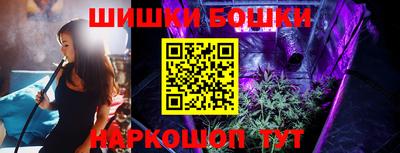 ГАЛЛЮЦИНОГЕННЫЕ ГРИБЫ Кингисепп