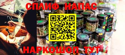 ГАЛЛЮЦИНОГЕННЫЕ ГРИБЫ Кингисепп