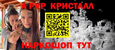 ГАЛЛЮЦИНОГЕННЫЕ ГРИБЫ Кингисепп
