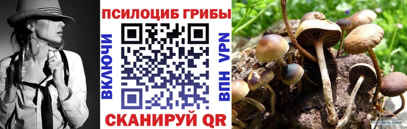 Галлюциногенные грибы Magic Shrooms  купить  цена  Северодвинск 