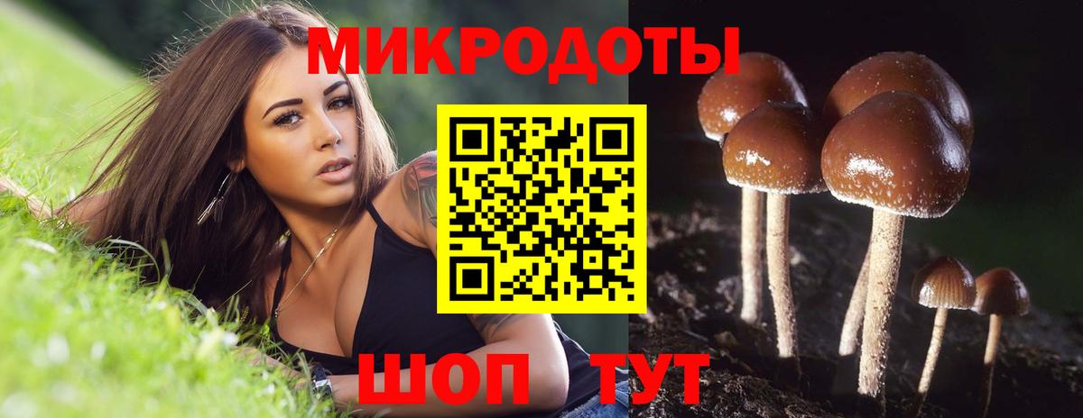 Северодвинск  Псилоцибиновые грибы мухоморы  Вход с VPN 